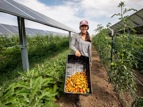 HOW GOING SOLAR SAVED A STRUGGLING COLORADO FARM