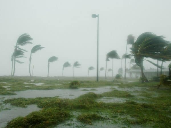 CAN SOLAR PANELS WITHSTAND A HURRICANE?